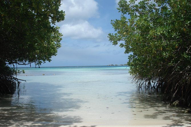 aruba-mangel-halto-and-baby-beach-snorkeling-guided-tour