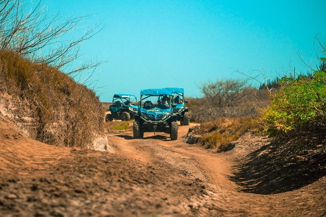 aruba-northcoast-utv-afternoon-tour