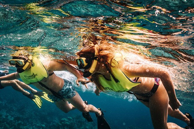 aruba-sail-and-snorkel-with-crafted-cocktails