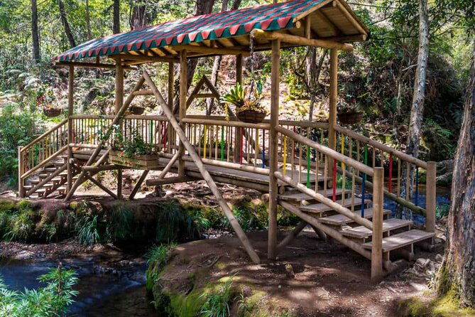 arvi-park-and-waterfalls-medellin-city-tour-5-hour