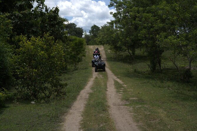 atv-excursions-jungle-ride