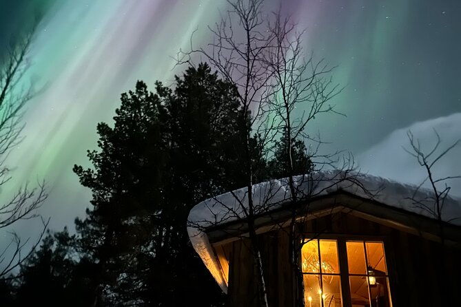 aurora-hunting-with-reindeer-caravan