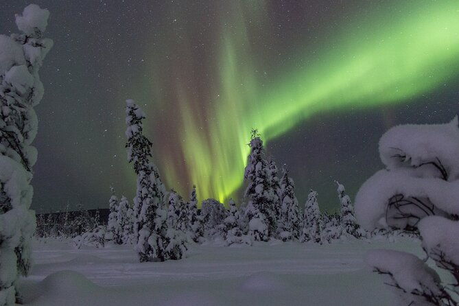 aurora-sleighers-snowmobile-tour-in-fairbanks