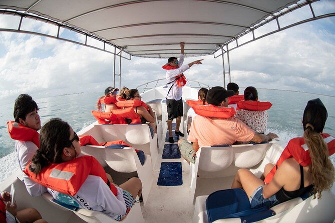 bahia-ballena-whale-and-dolphin-tour-afternoon