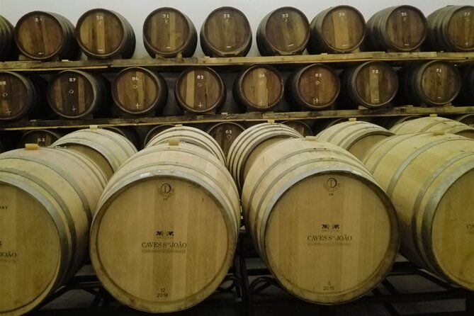 bairrada-winery-route-full-day-from-coimbra