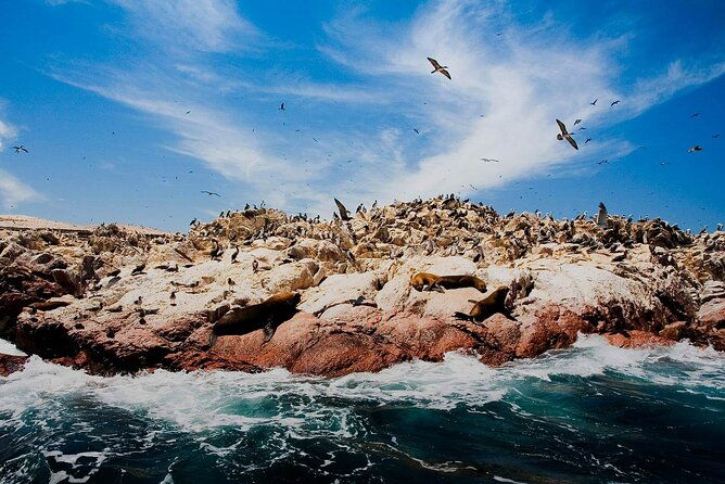ballestas-islands-national-reserve-of-paracas-from-ica