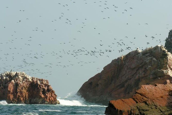 ballestas-islands-sightseeing-boat-ride-from-paracas