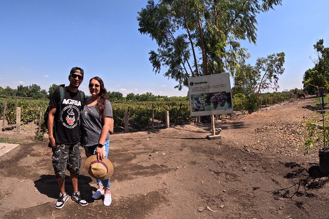 ballestas-islands-vineyards-and-buggies-in-huacachina-from-paracas