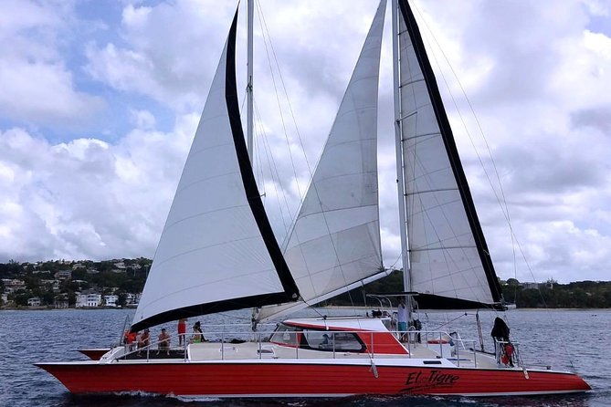 barbados-catamaran-turtle-and-shipwreck-snorkeling-cruise