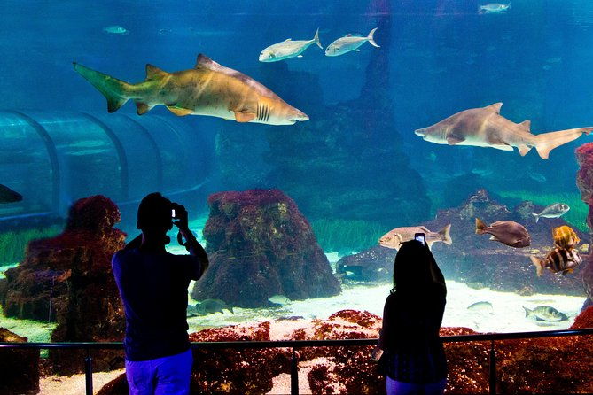 barcelona-aquarium-skip-the-line-ticket