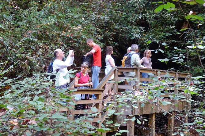 bartram-trail-hike-plus-wine-tasting