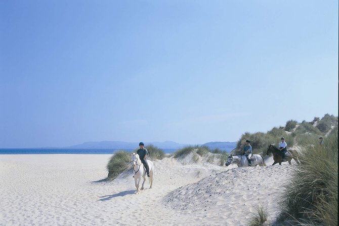 beach-countryside-horse-riding-outside-westport-guided-1-hour