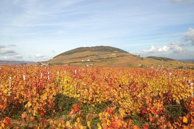 beaujolais-crus-wines-castles-900-am-130-pm-small-group-tour-from-lyon