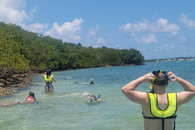 beginner-friendly-island-snorkeling