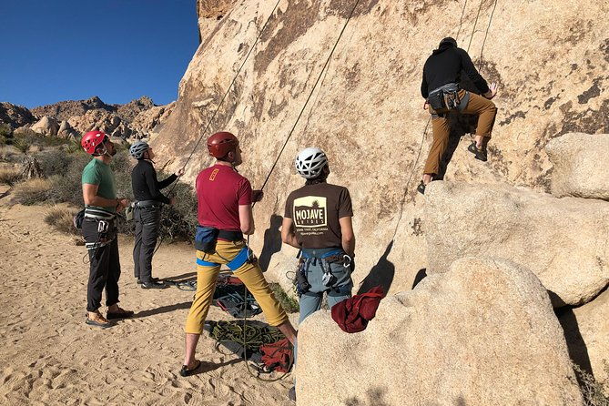 beginner-group-rock-climbing-in-joshua-tree-national-park