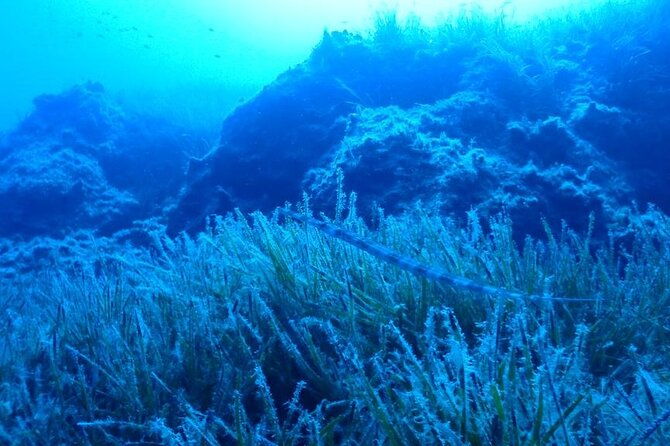 beginners-discover-scuba-diving-by-boat-best-spot-in-cyprus
