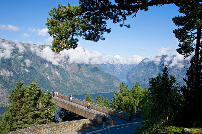 bergen-to-sognefjord-private-roudtrip-with-cruise-and-flasmbana