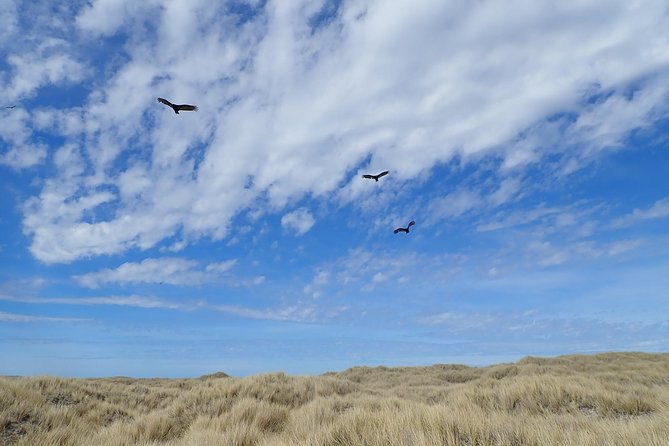 berthas-beach-and-stanley-private-tour