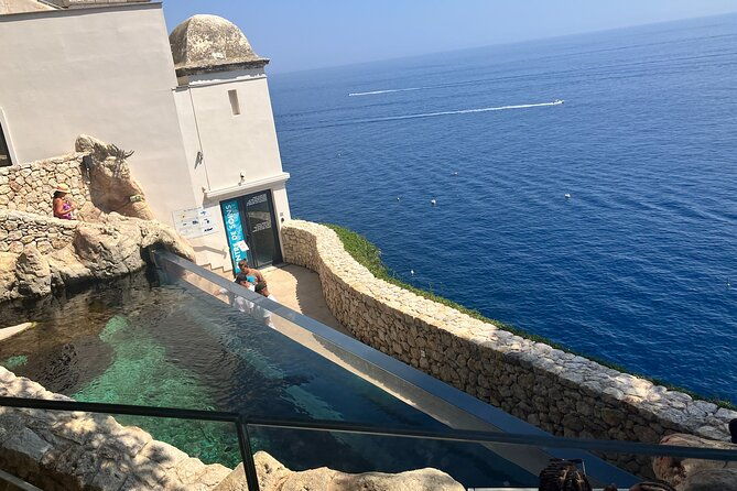 best-of-monaco-private-tour-and-outlet-shopping-experience-2