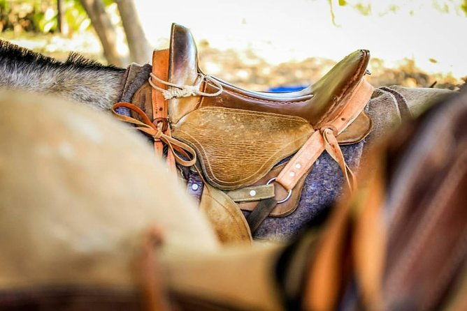 best-waterfall-rappelling-ziplinetractor-jungle-tour-and-rainforest-horseback