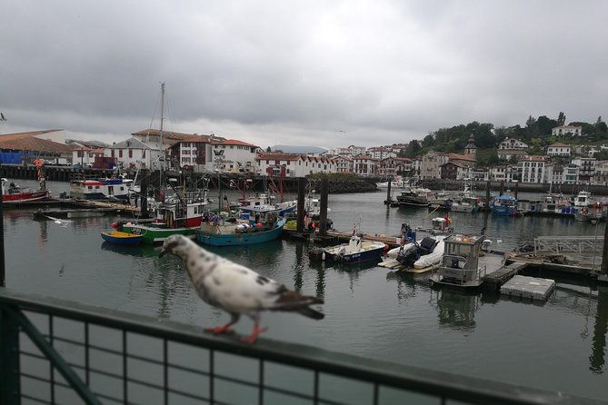biarritz-the-basque-coast-private-tour