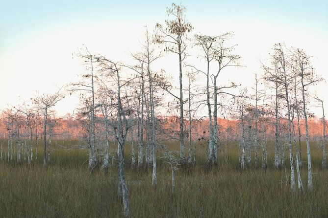 big-cypress-national-preserve-self-guided-driving-audio-tour