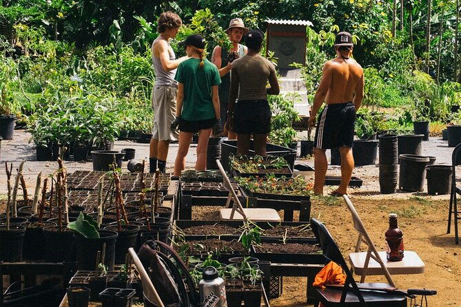 big-island-farms-tour-in-hawaii-2