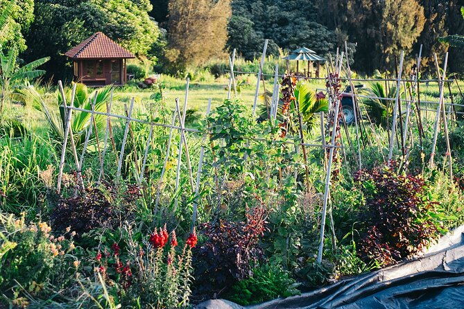 big-island-farms-tour-in-hawaii