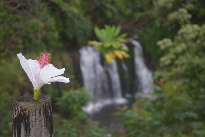 big-island-waterfall-hiking-with-hilo-cruise-ship-pickup