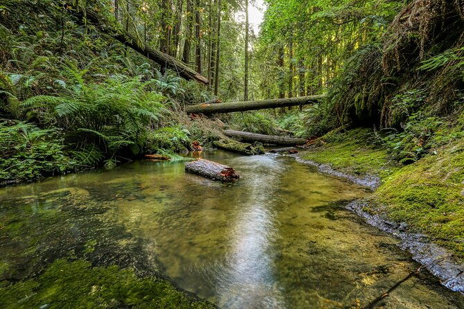 big-sur-california-coast-from-monterey-carmel-mcway-falls-opt