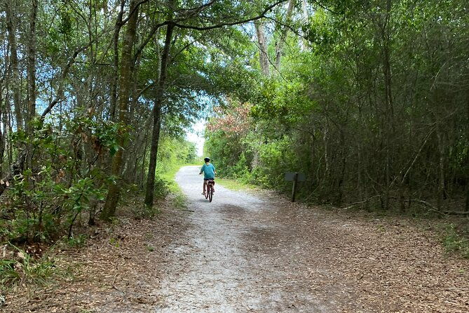 big-talbot-island-self-guided-tour-with-smart-helmets