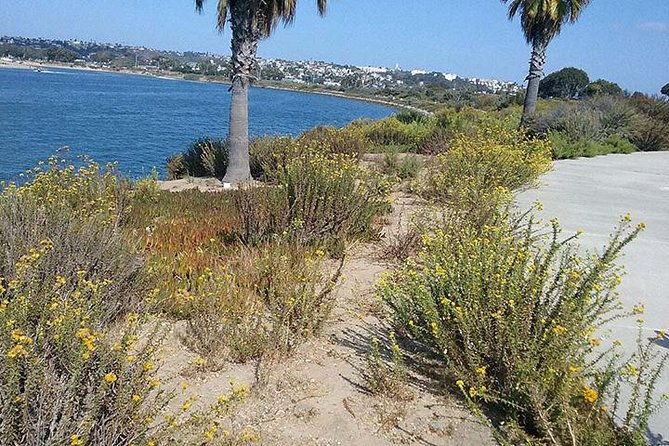 bike-around-san-diego-bay-to-the-ocean