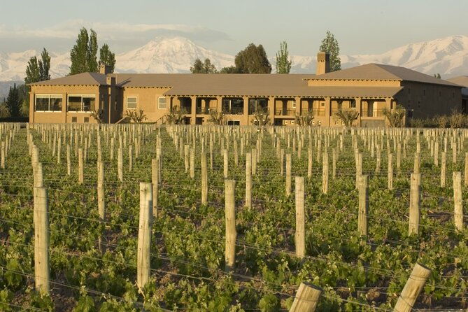 bike-tour-in-mendoza-wine-country
