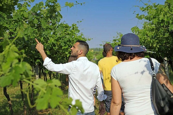 biodynamic-farm-and-natural-wines-tasting-in-lazise-2