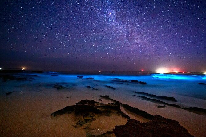 bioluminescence-clear-kayak-or-paddleboard-tour-near-orlando