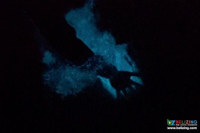 bioluminescence-tour-sunset-river-cruise