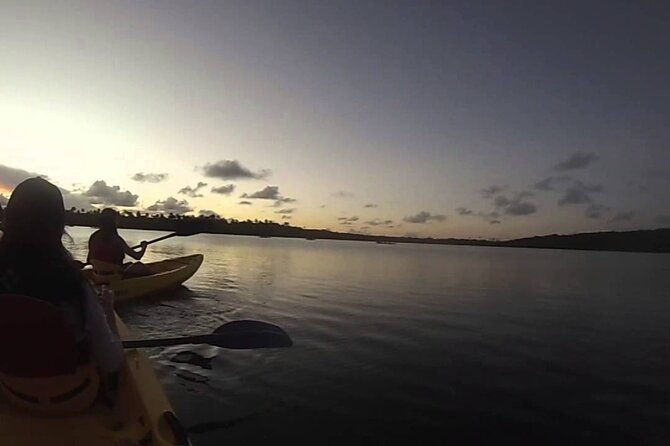 bioluminescent-bay-night-kayak-experience