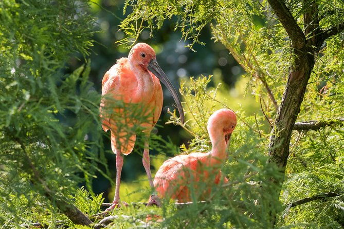 bird-sanctuaries-tour