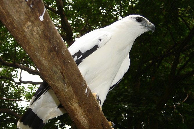 bird-watching-and-wildlife-tour