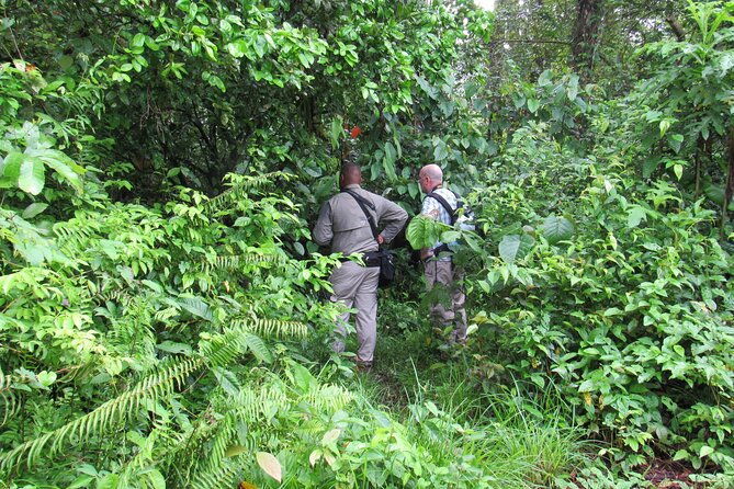 birding-metropolitan-natural-park