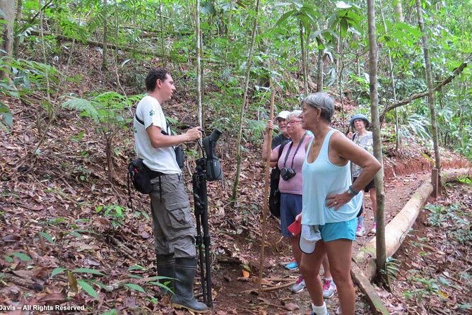 birdwatching-half-day-tour-between-clouds-and-forest-in-monteverde