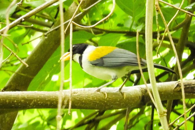 birdwatching-in-a-private-nature-reserve