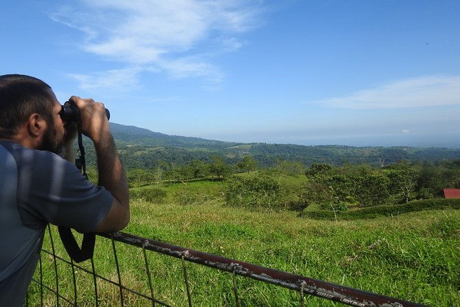 birdwatching-tour-in-la-fortuna
