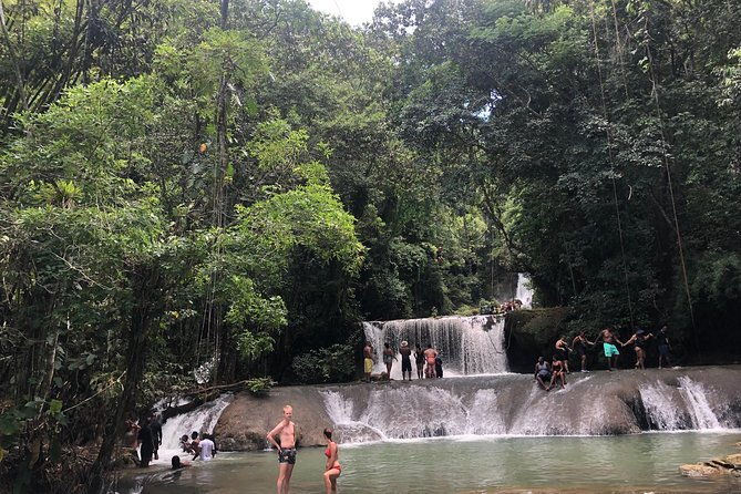 black-river-safari-ys-falls-and-appleton-estate