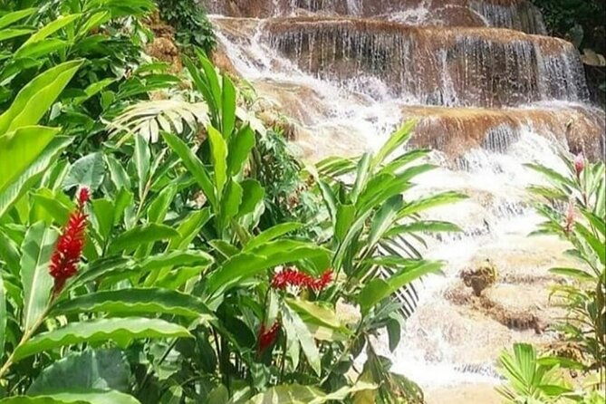 blue-hole-and-konoko-falls-combo-tour-from-ocho-rios-runaway-bay
