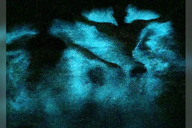 blue-hole-scotchies-luminous-lagoon-glistening-waters-3-in-1-combo