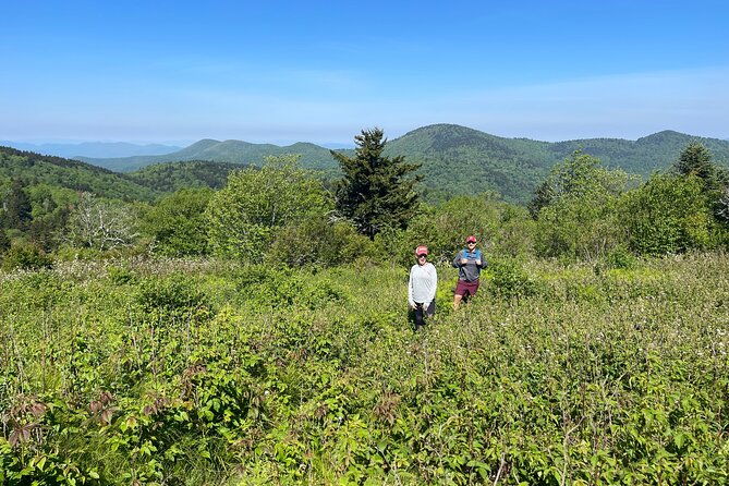 blue-ridge-mtns-hiking-tour-with-the-areas-top-rated-trail-expert