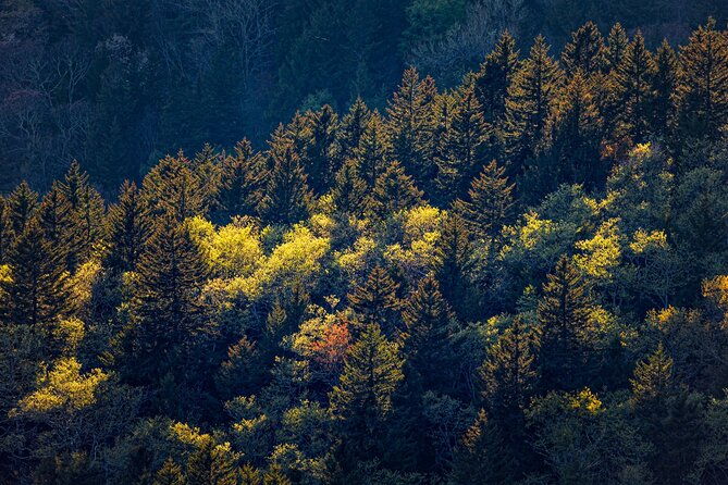 blue-ridge-parkway-cherokee-to-asheville-self-guided-audio-tour