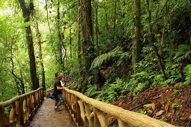 blue-river-and-tenorio-volcano-national-park-hike