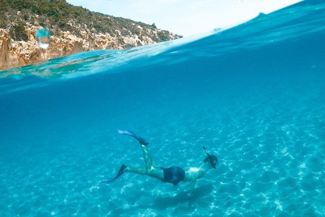 boat-and-snorkeling-in-west-end-blue-channel-the-aquarium-turtle-crossing